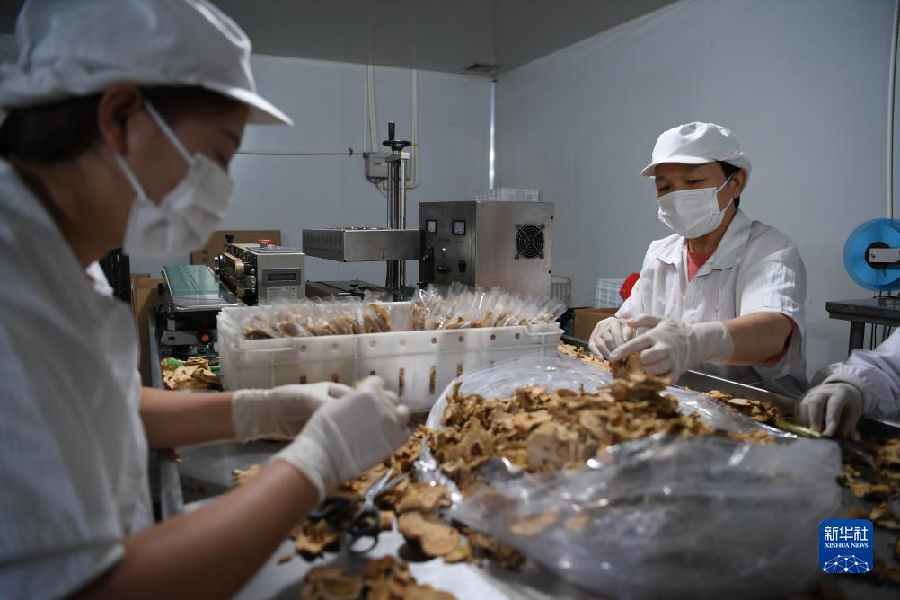 同升s8s国际官网论坛